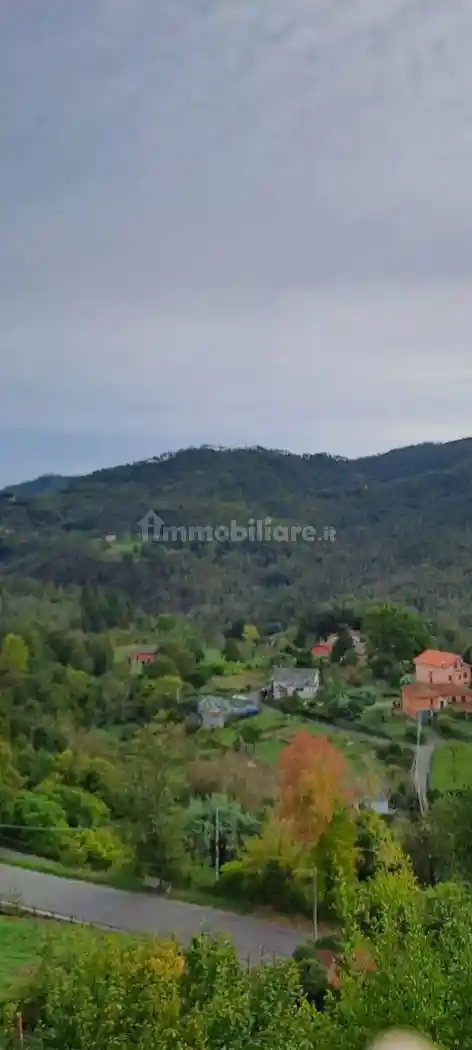 Appartamento in vendita a Carro