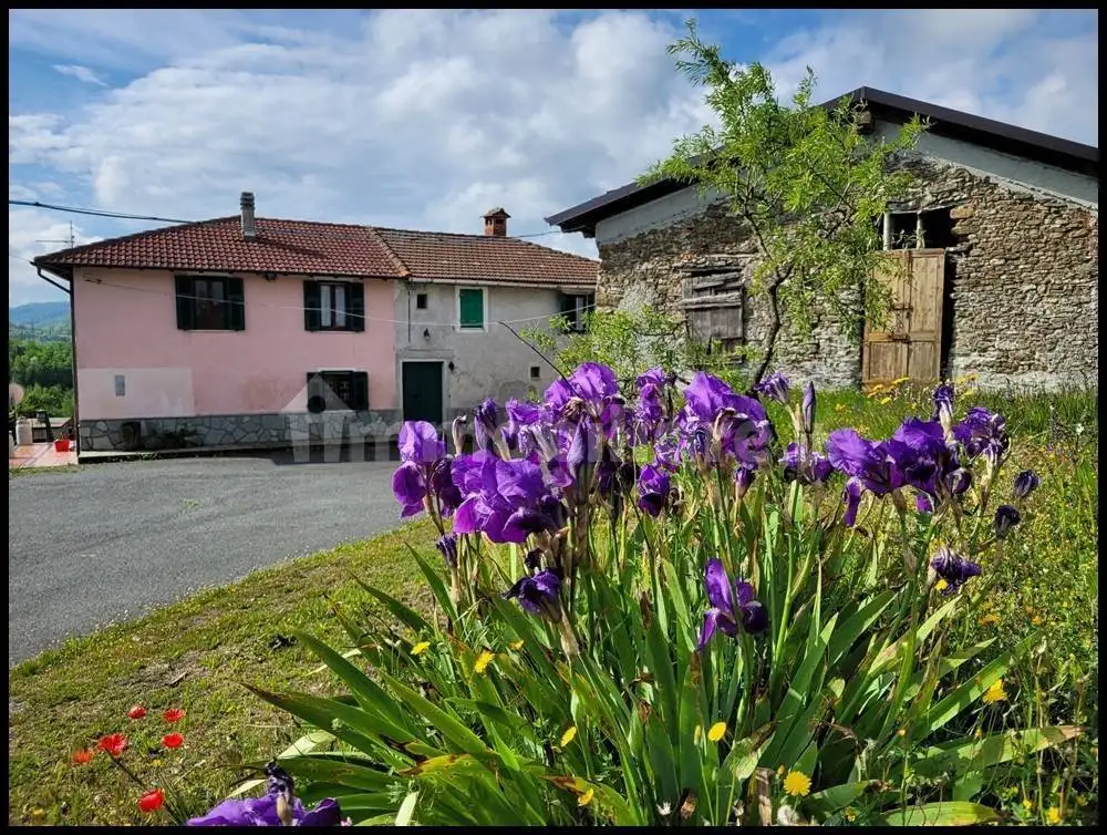 Casa indipendente in vendita a Pareto