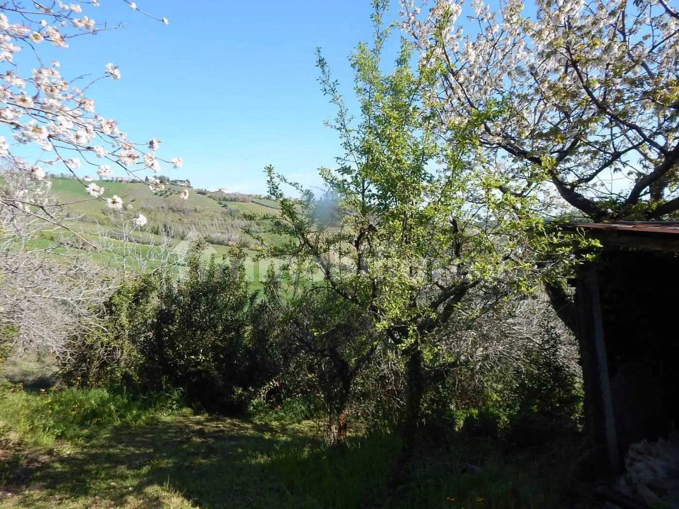 Rustico - Casale in vendita a Castignano