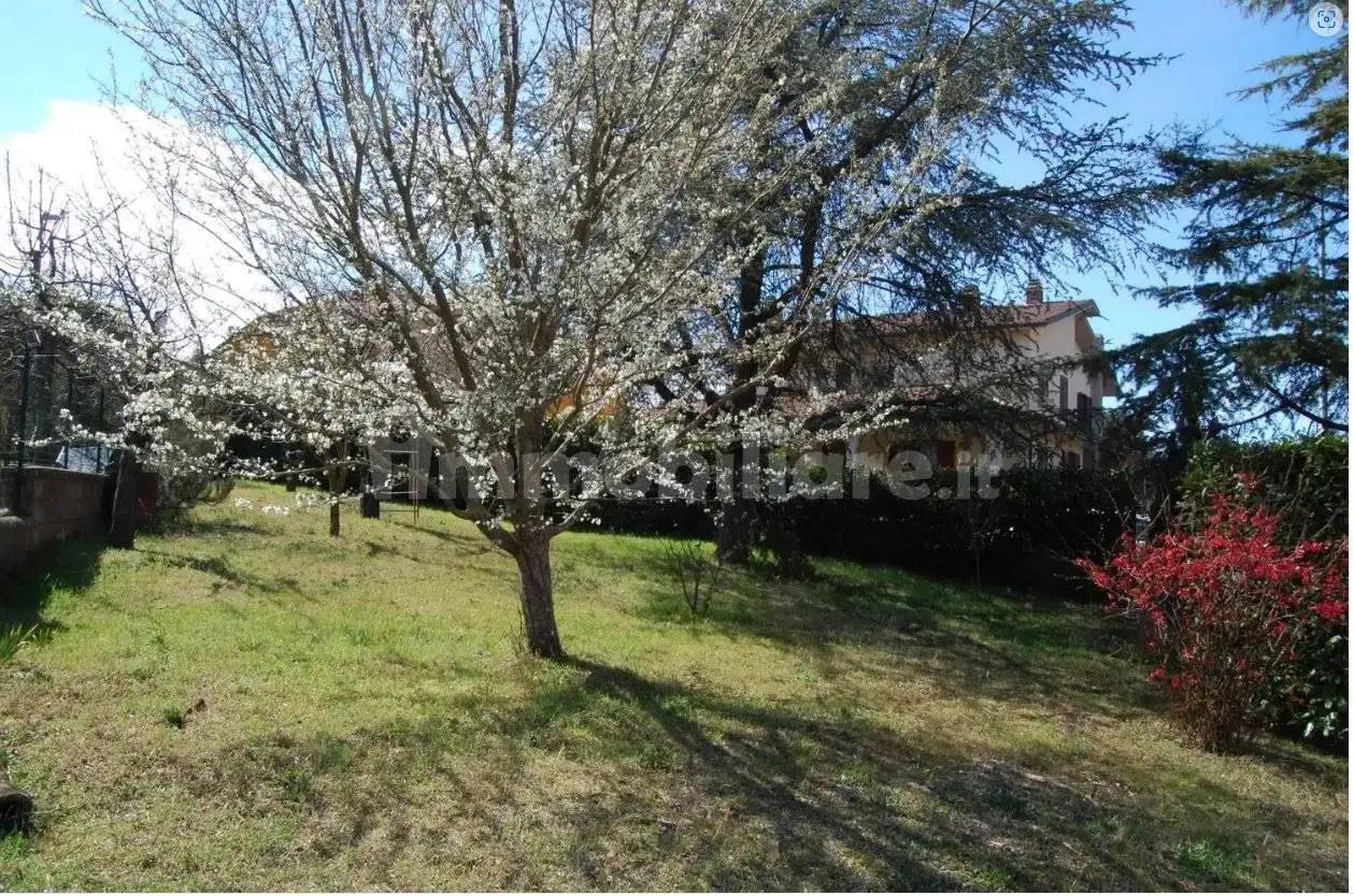 Appartamento in affitto a Castel del Piano