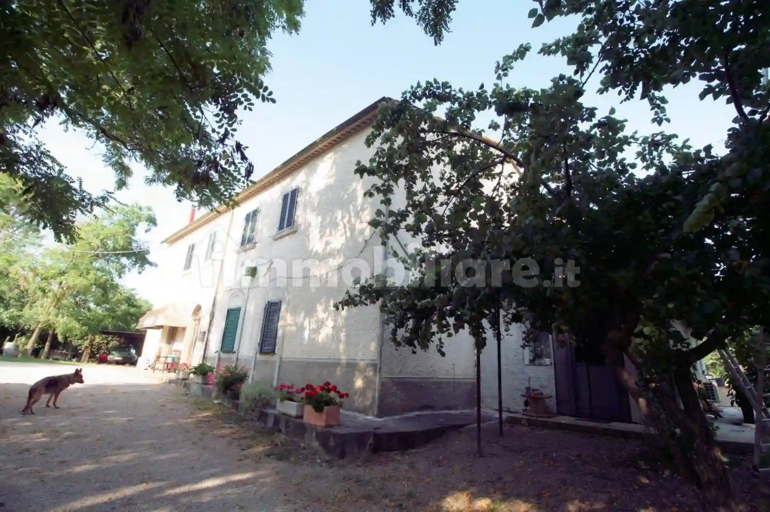 Rustico - Casale - foto 5