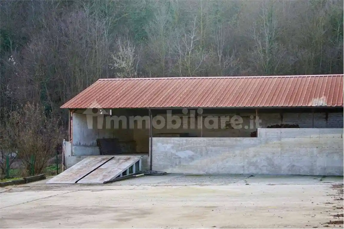 Rustico via peschiera , 6, Centro, Cinaglio - foto 4