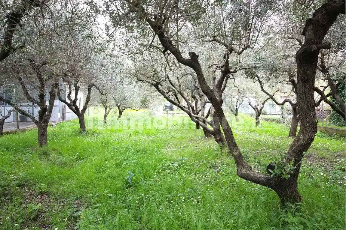 Casa indipendente in vendita a Vicopisano