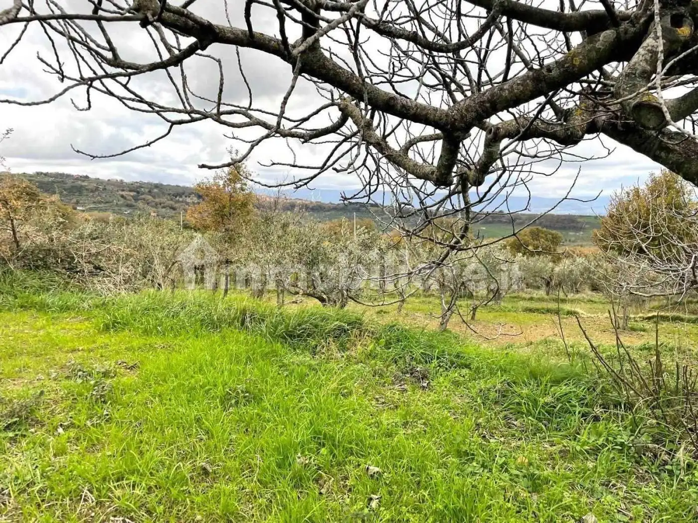 Rustico - Casale in vendita a Girifalco