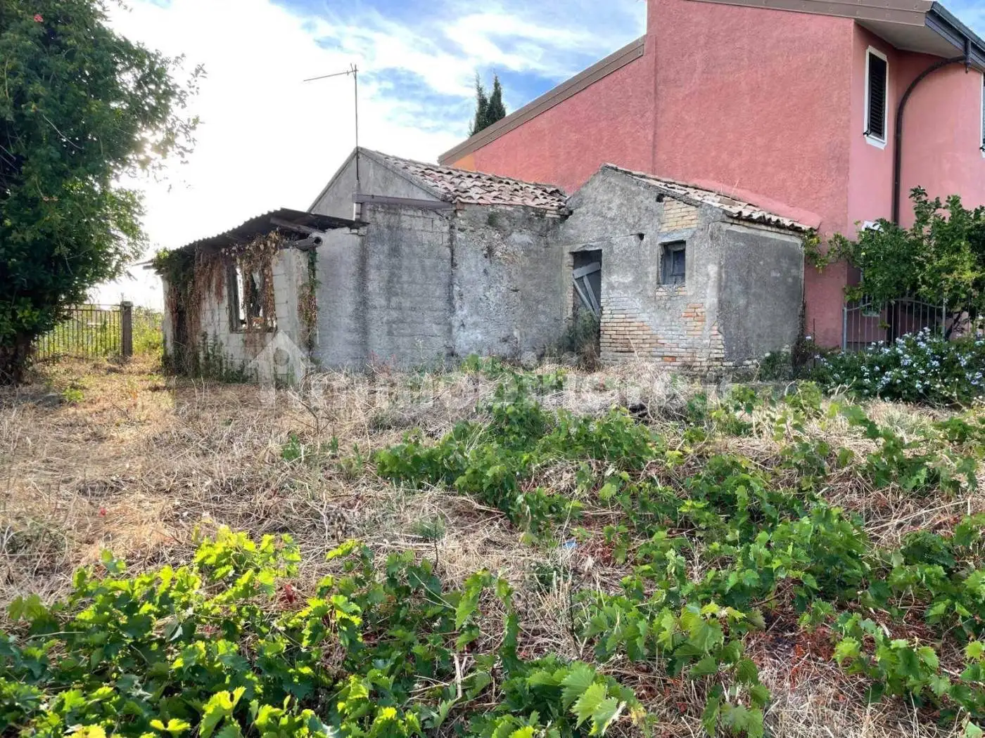 Rustico - Casale in vendita a Marcellinara