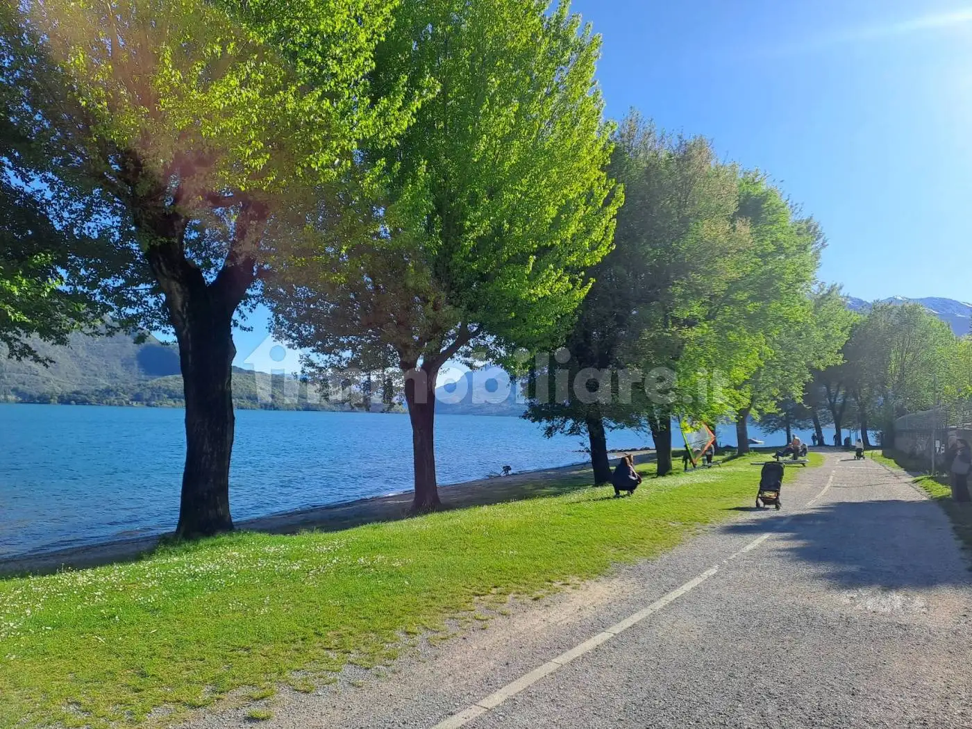 Appartamento in affitto a Domaso