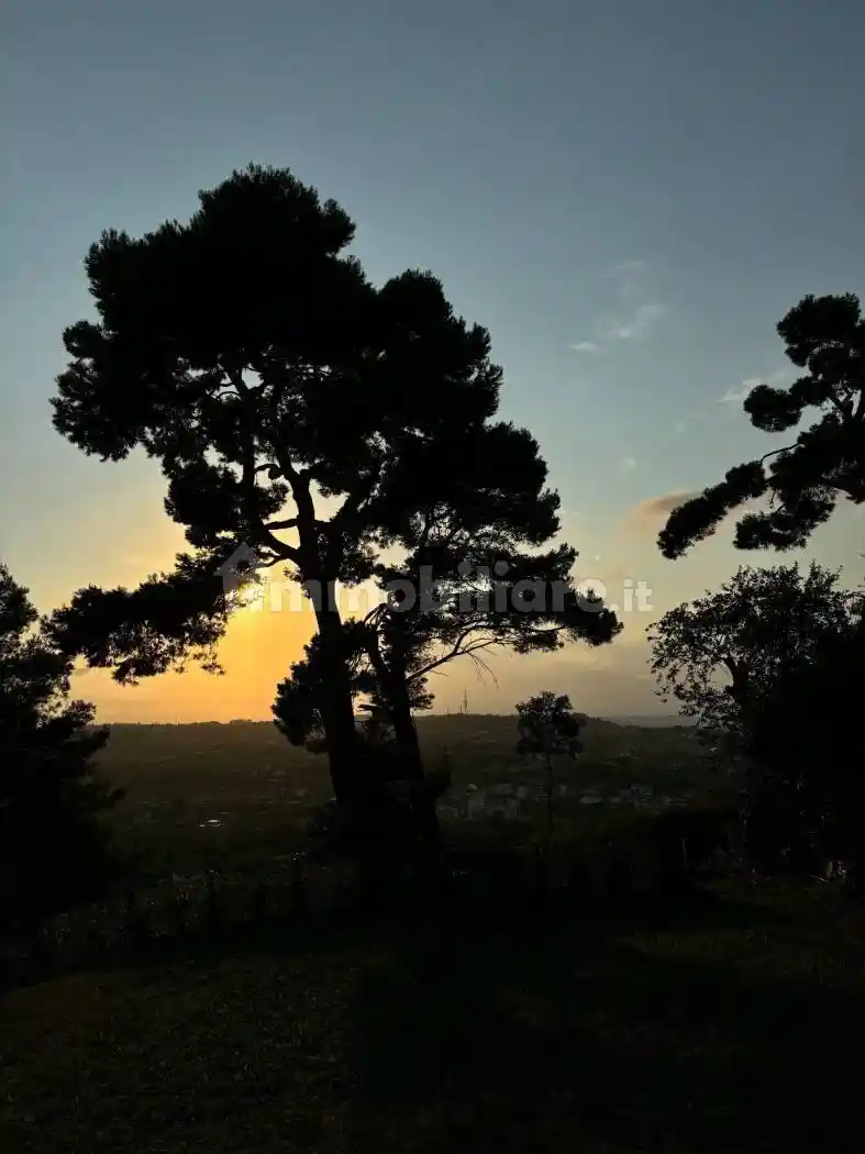 Villa unifamiliare Contrada Caprini 8, Centro, Francavilla al Mare - foto 4