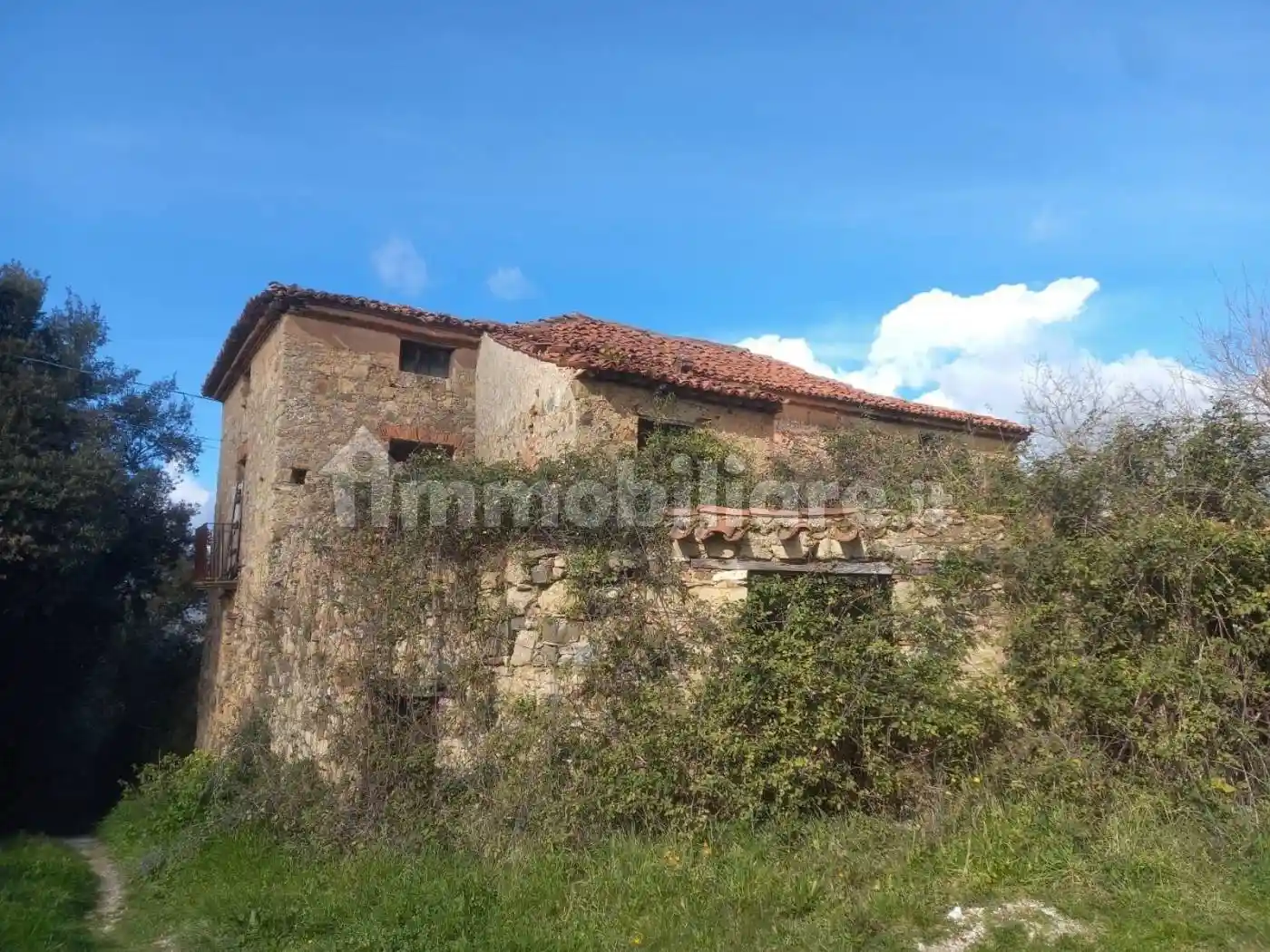 Rustico - Casale - foto 5