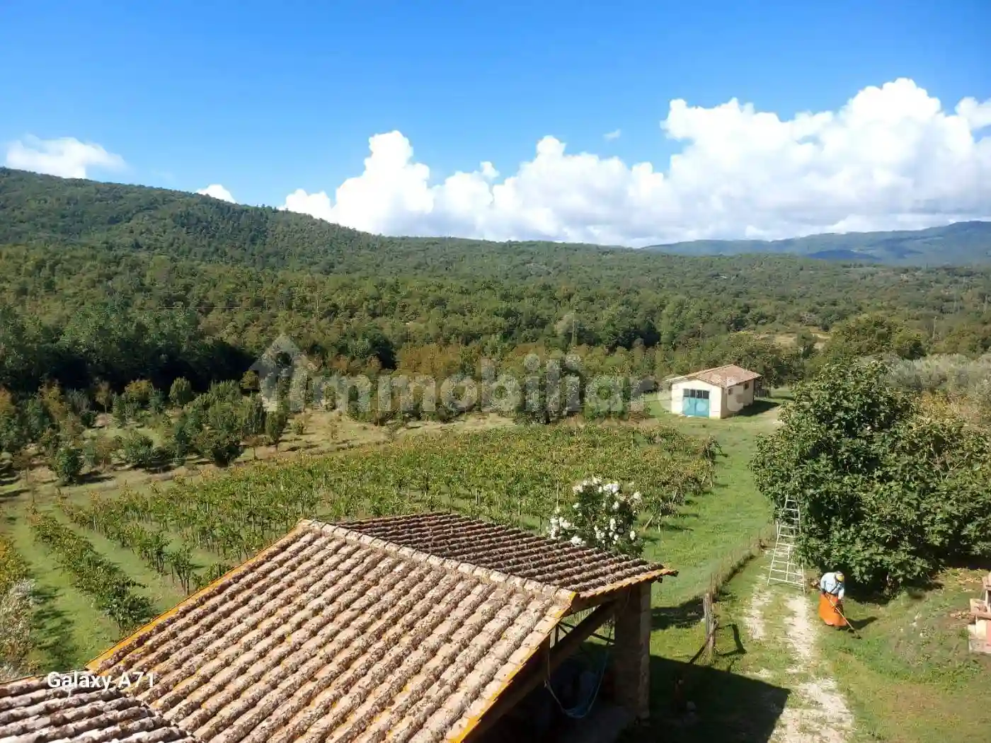 Rustico - Casale - foto 5