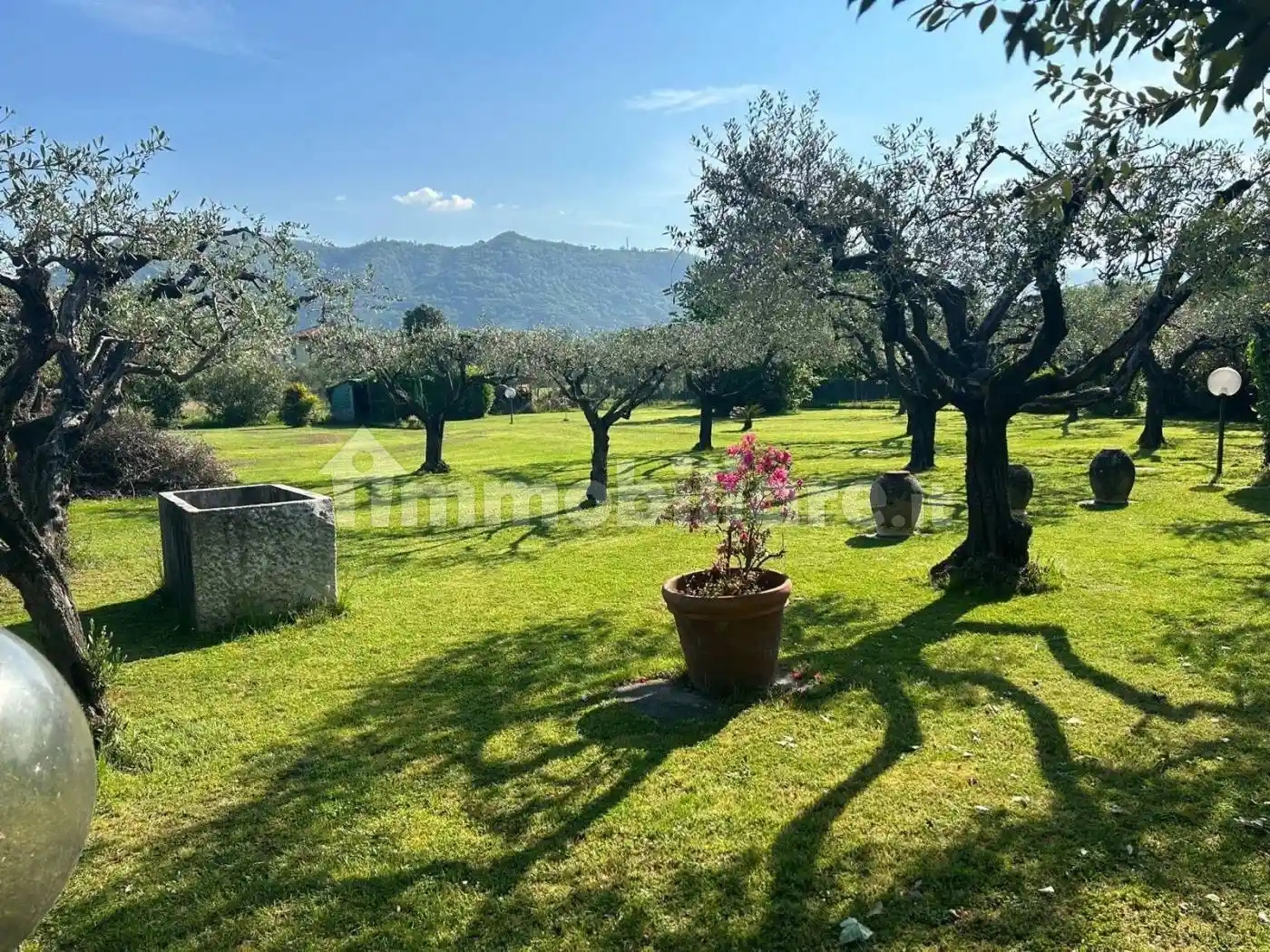 Villa in vendita a Carrara