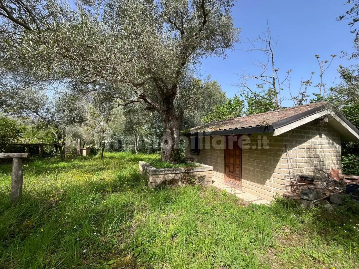 Rustico - Casale in vendita a Tora e Piccilli