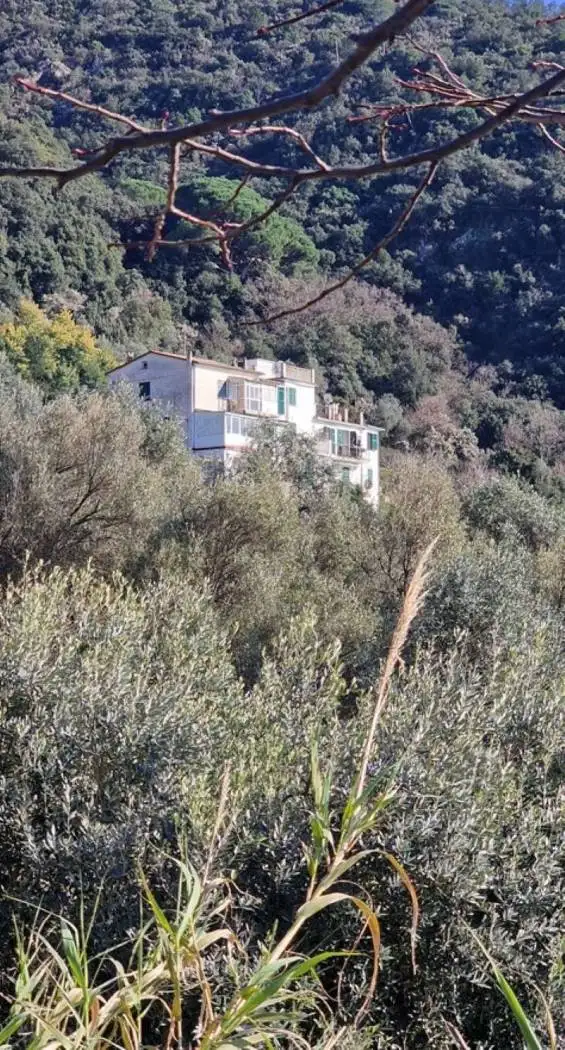 Appartamento in vendita a Framura