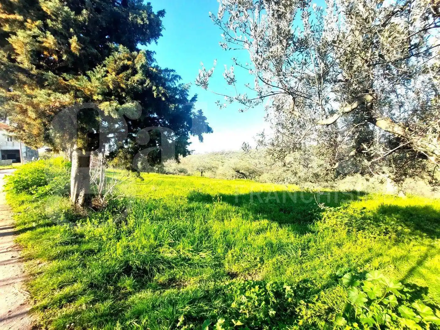 Trilocale via Faresi, 30, Rapattoni Nuovo, Cepagatti - foto 2