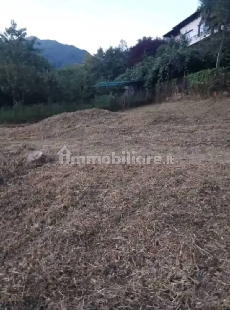 Casale via ai Monti, Cusino - foto 3