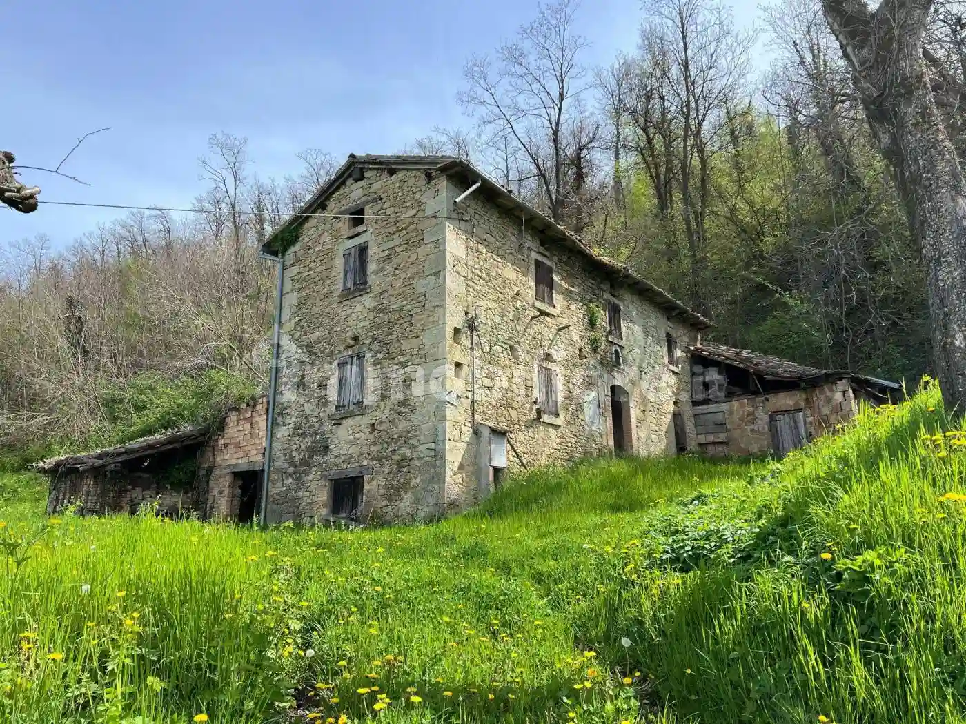 Rustico - Casale - foto 4