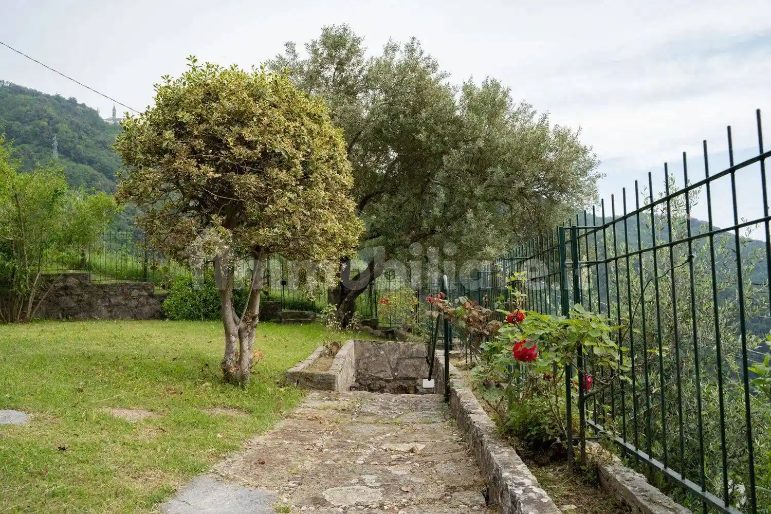 Villa unifamiliare via San Maurizio dei Monti 197, San Maurizio - Montallegro, Rapallo - foto 4