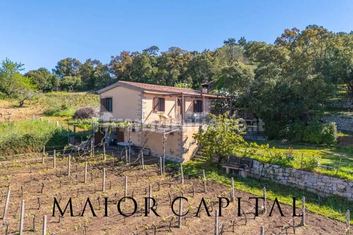 Casa indipendente in vendita a Calangianus