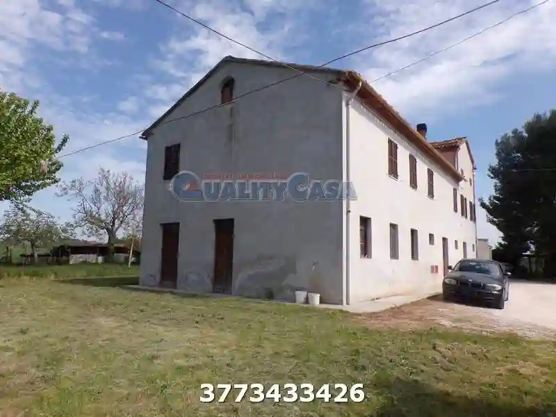 Casa colonica via Colleolivo, Tabano - Montecappone, Jesi - foto 4