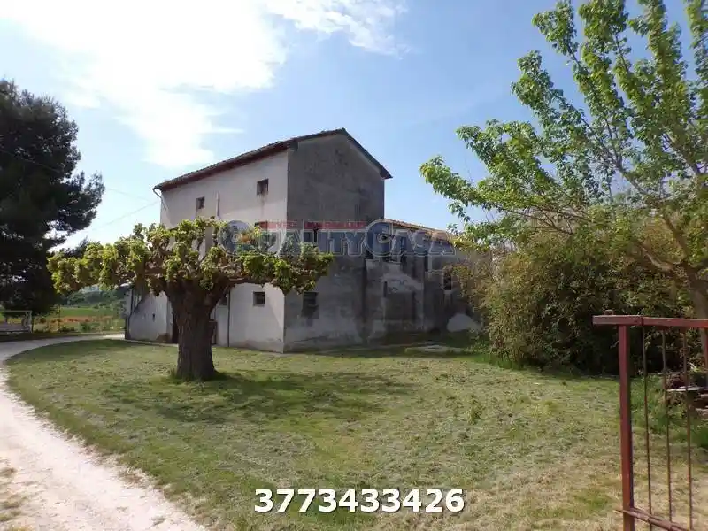 Casa colonica via Colleolivo, Tabano - Montecappone, Jesi - foto 4