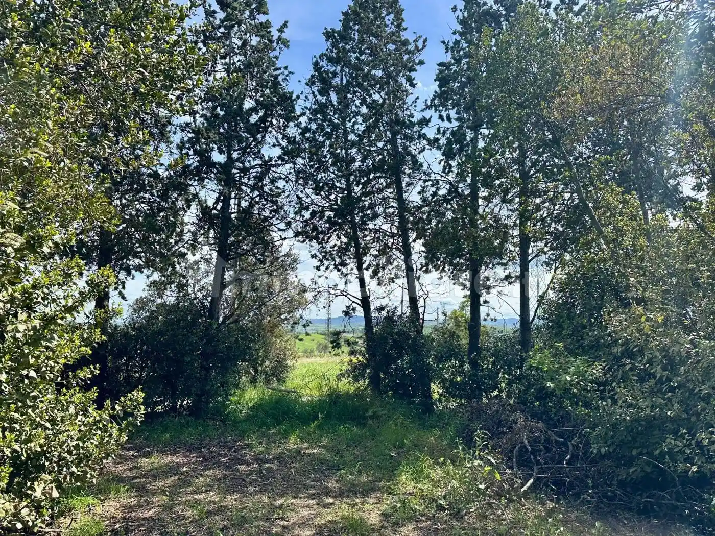 Rustico via Ca' Torsani, Sant'Aquilina, Rimini - foto 4