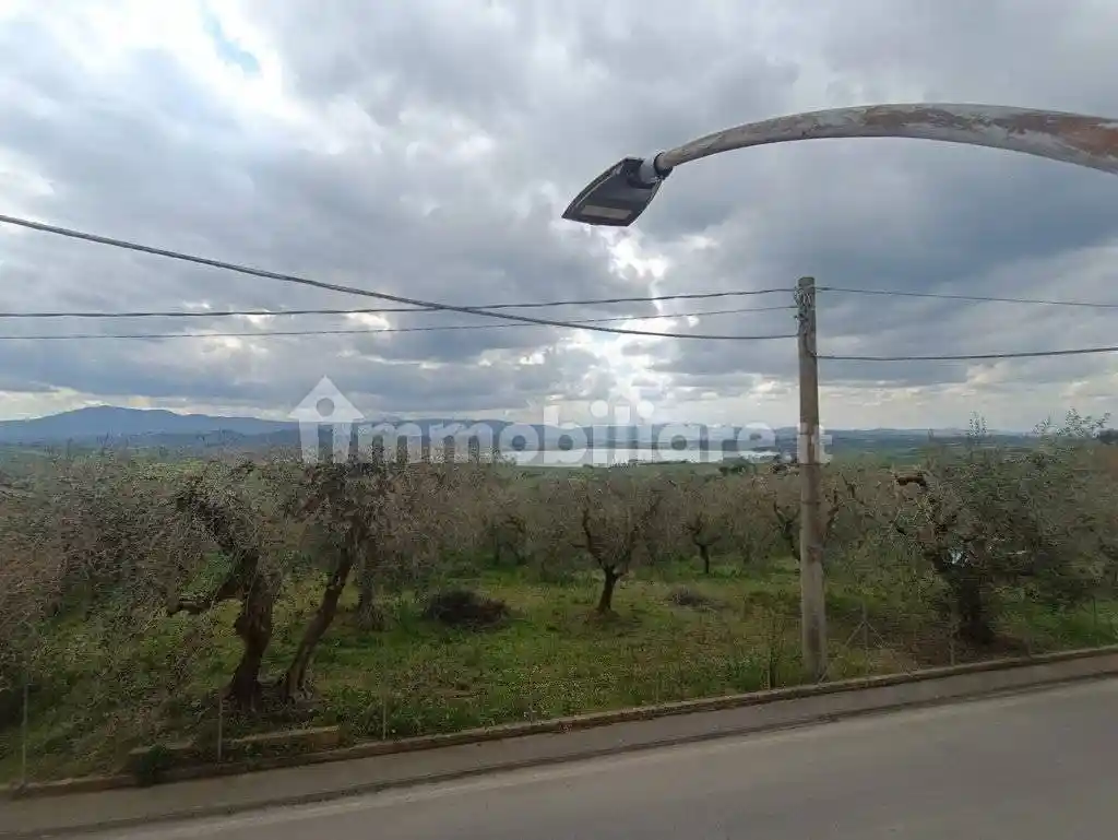 Terratetto unifamiliare via Bassa, Vaiano, Castiglione del Lago - foto 3