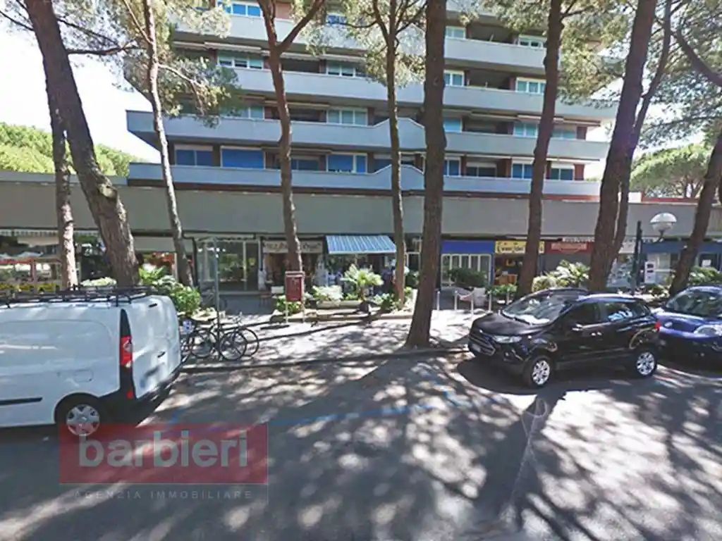 Appartamento in affitto a Cervia