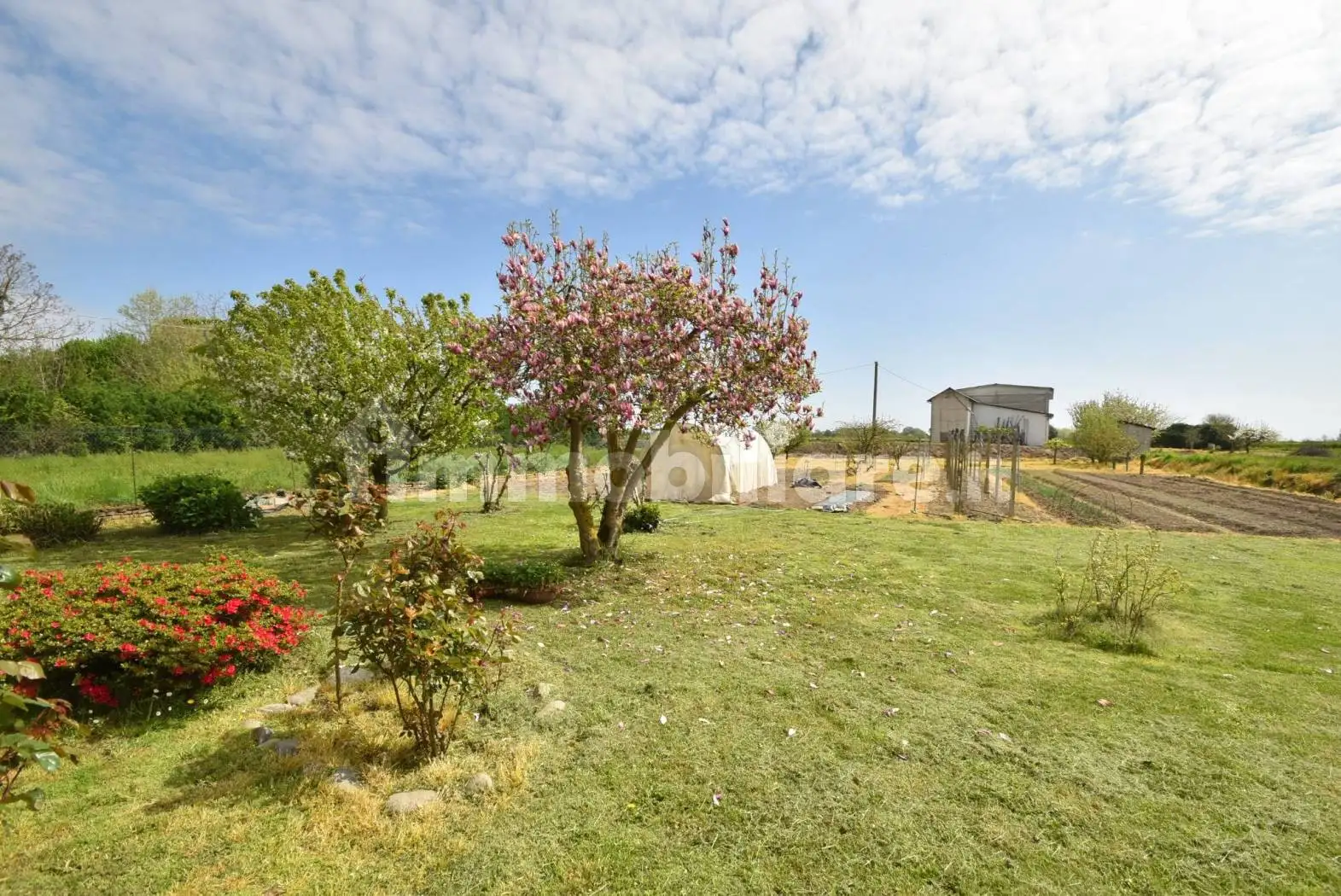 Casale via 25 Aprile, Caresana - foto 4