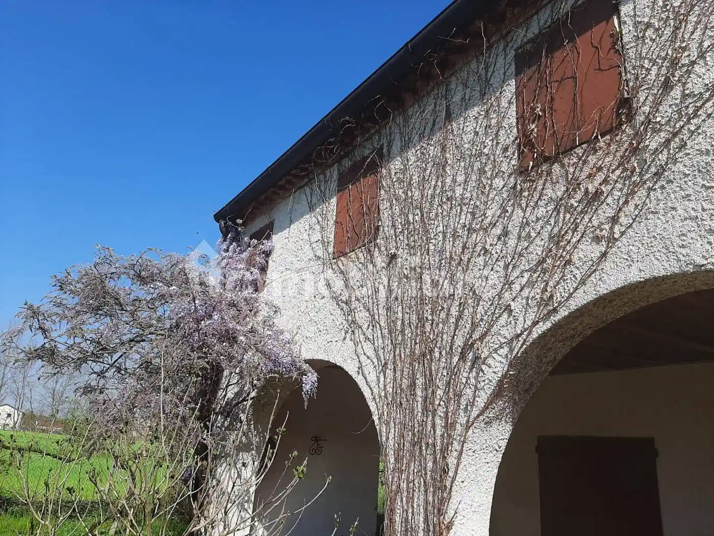 Rustico - Casale in vendita a Borgoricco