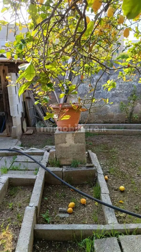 Terratetto unifamiliare via Margottini 7, Cursi - foto 3