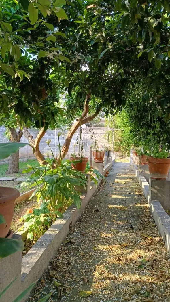 Terratetto unifamiliare via Margottini 7, Cursi - foto 4