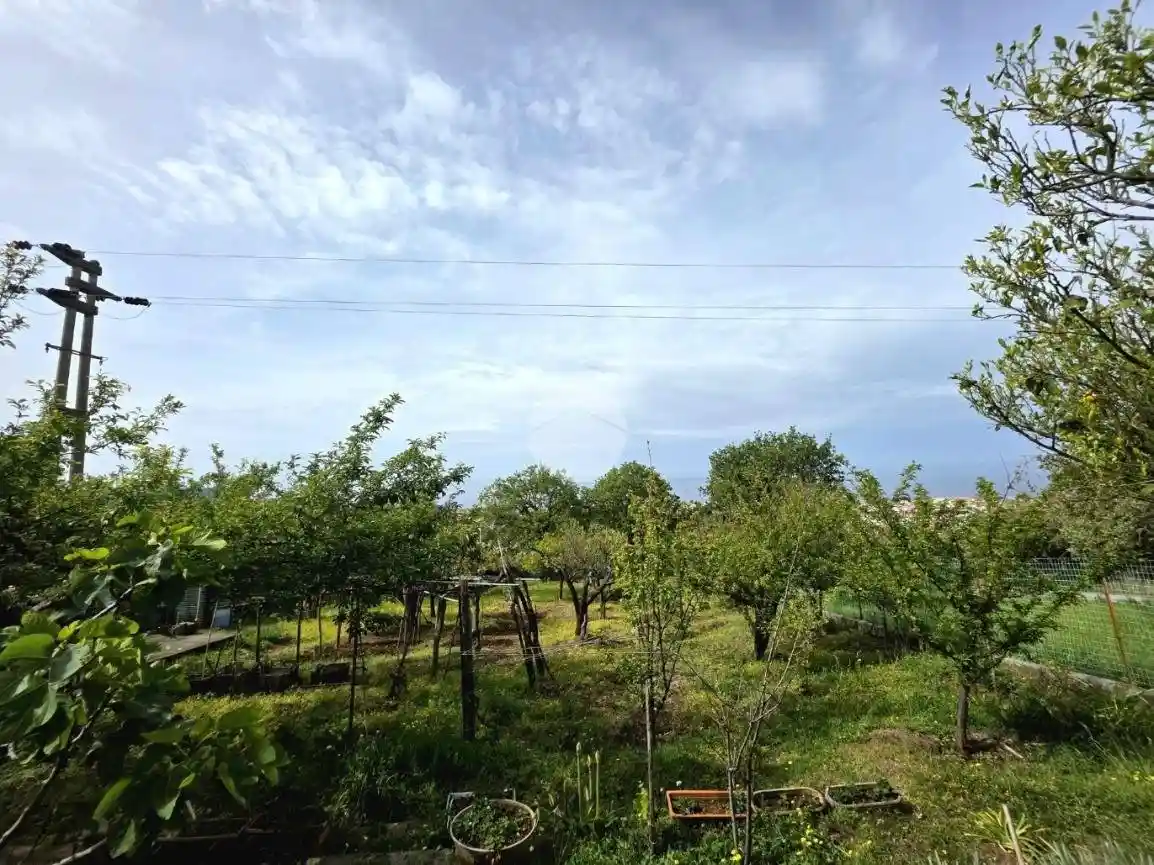 Quadrilocale Localita Santo Stefano, Praia a Mare - foto 2