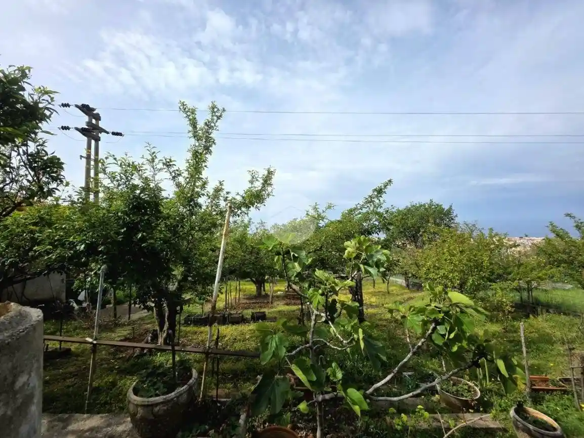 Quadrilocale Localita Santo Stefano, Praia a Mare - foto 3