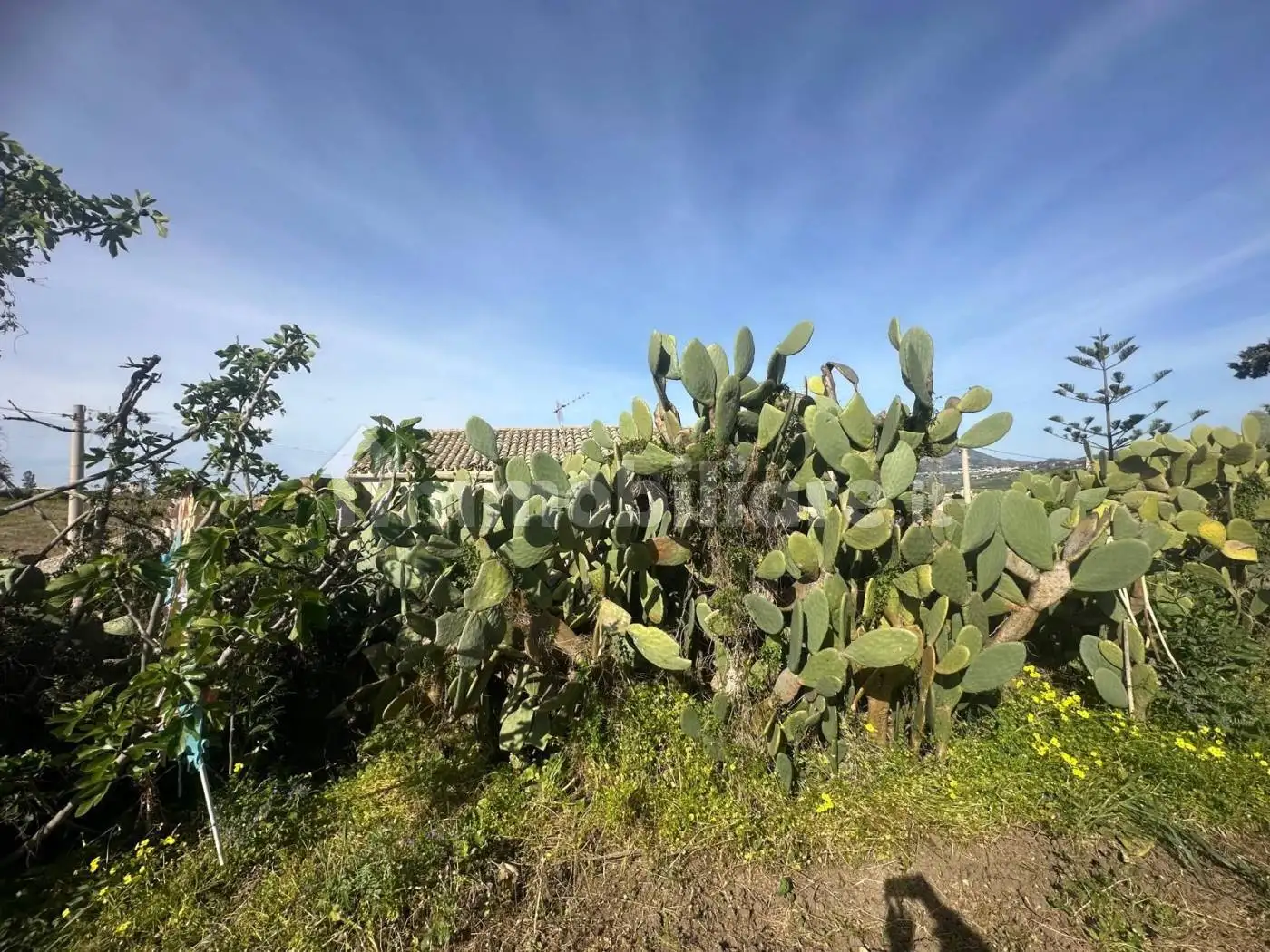 Terratetto unifamiliare 70 m², da ristrutturare, Buseto Palizzolo - foto 3