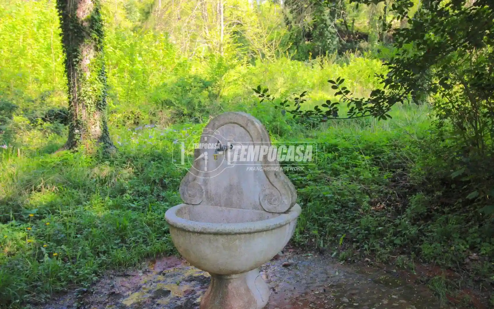 Palazzo - Edificio - foto 4