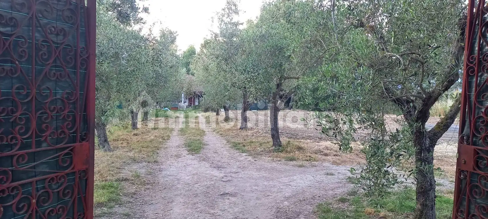 Villa in vendita a Sessa Aurunca