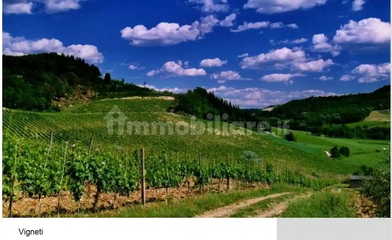 Rustico - Casale in vendita a Montespertoli