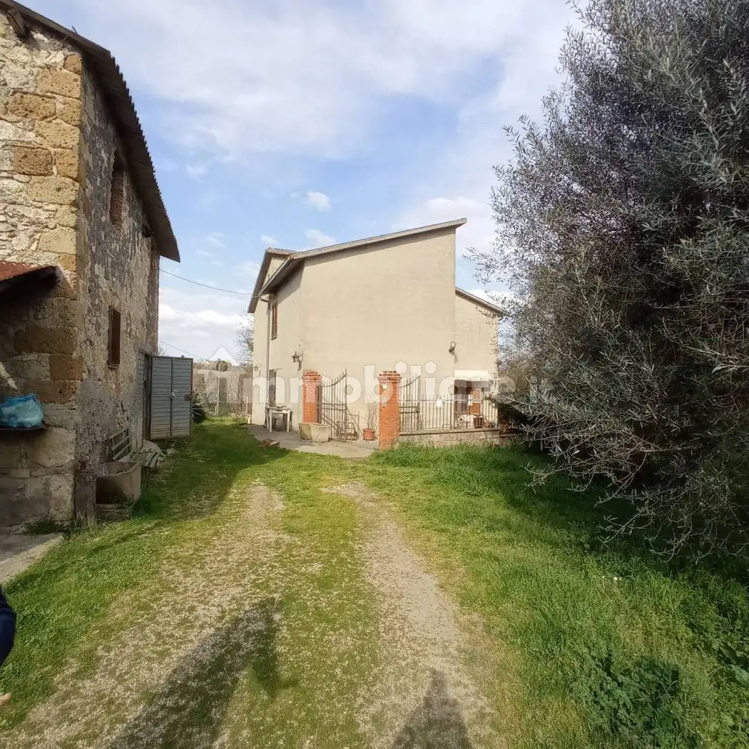 Rustico - Casale in vendita a Civitella d'Agliano