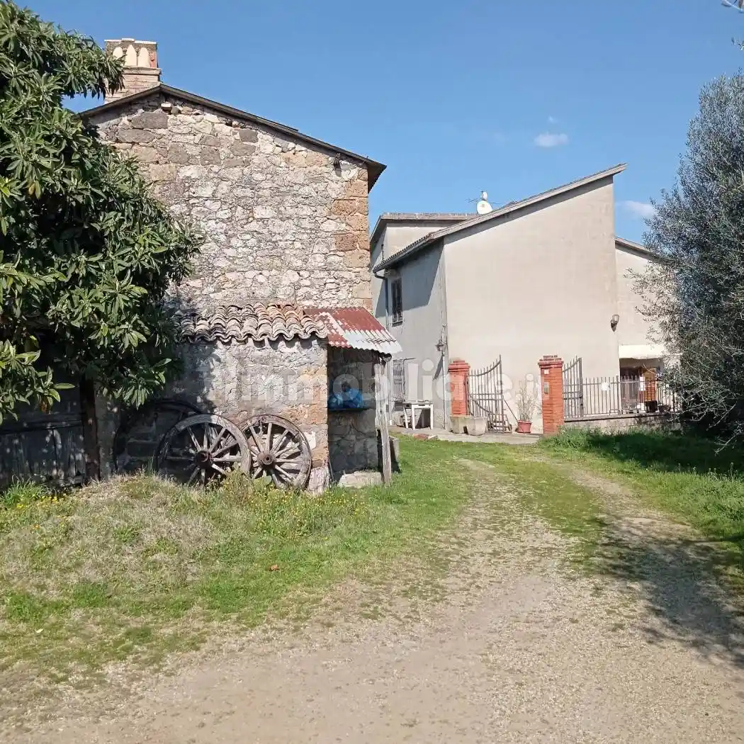 Casale Località Vaiano, Civitella d'Agliano - foto 4