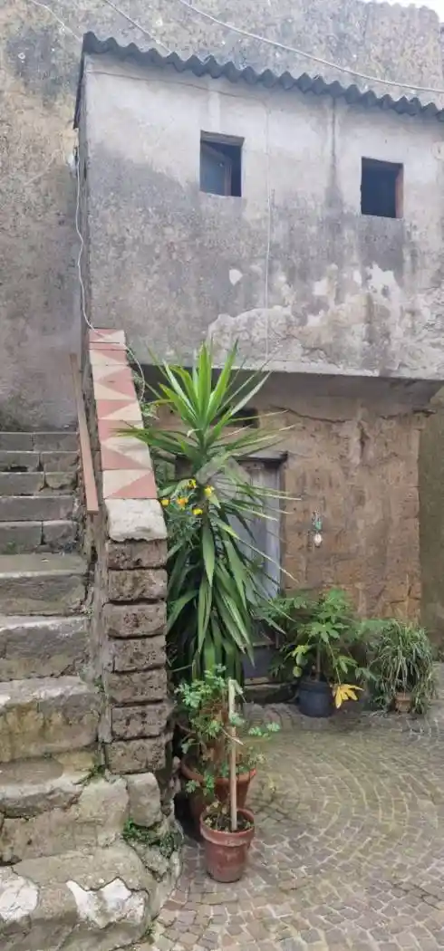 Terratetto plurifamiliare via Fontana 9, Bonea - foto 2