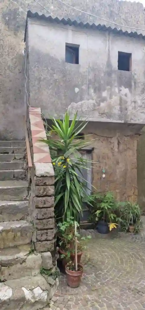 Terratetto plurifamiliare via Fontana 9, Bonea - foto 4
