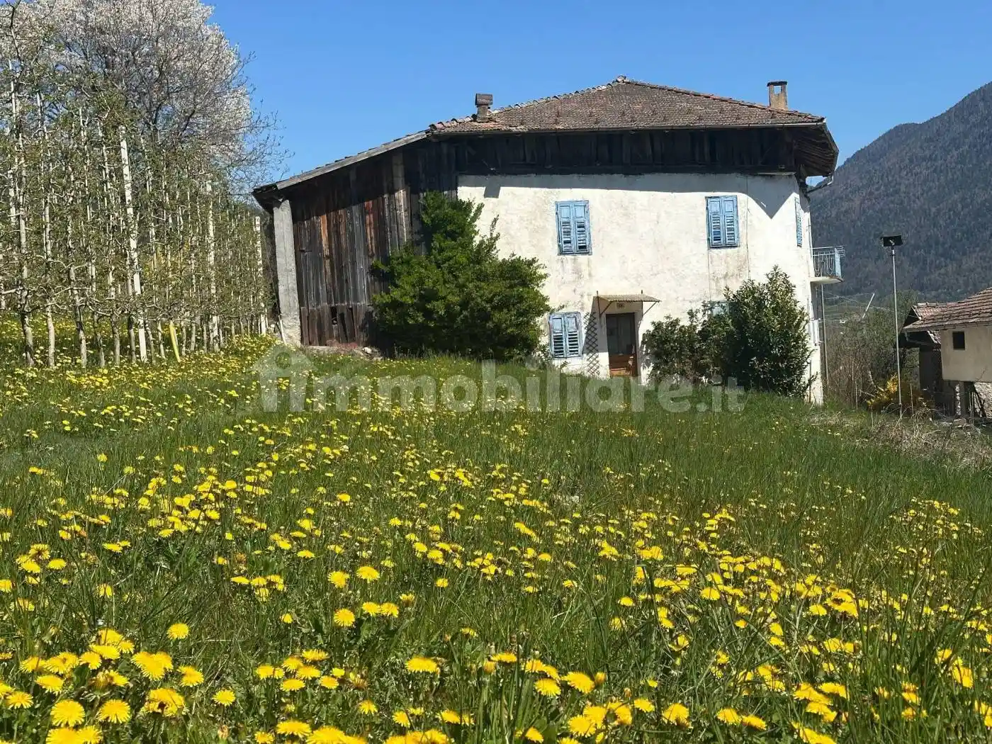 Villa unifamiliare Località Viar 54, Cis - foto 4