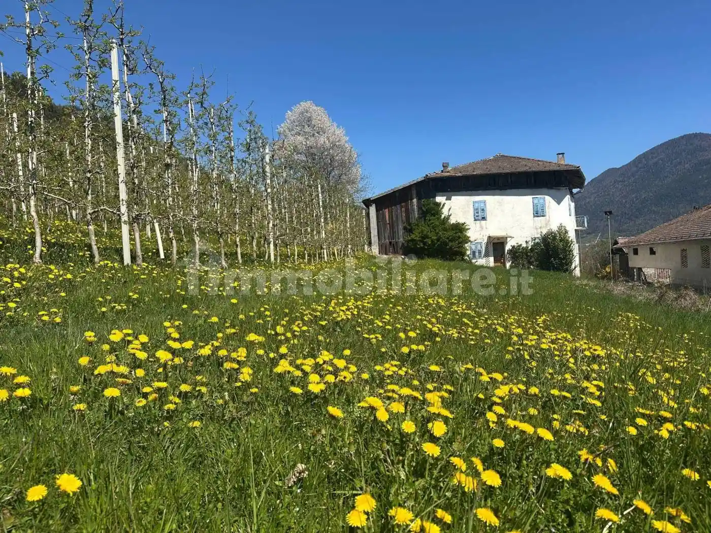 Villa unifamiliare Località Viar 54, Cis - foto 5