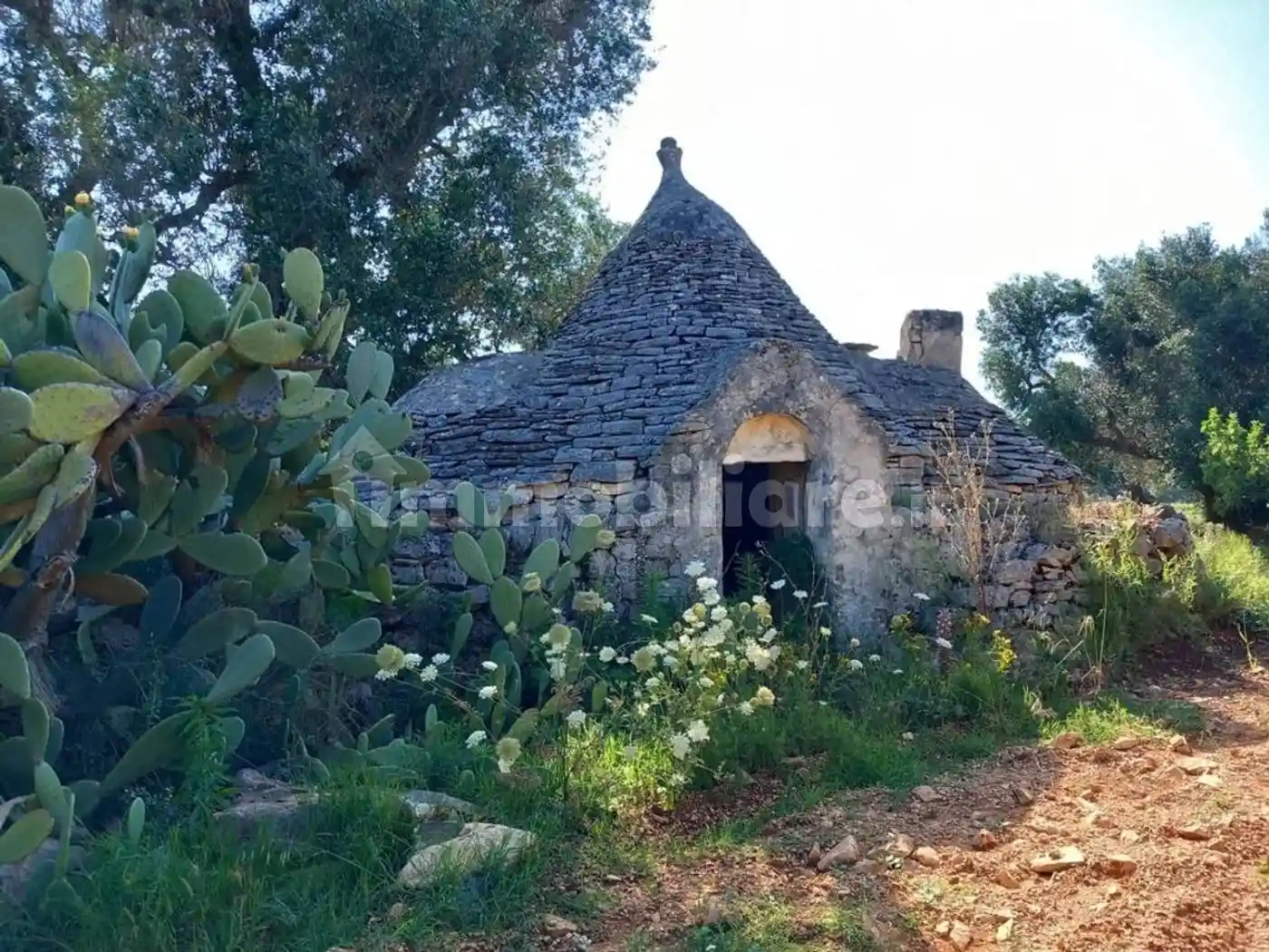 Rustico - Casale in vendita a Ceglie Messapica