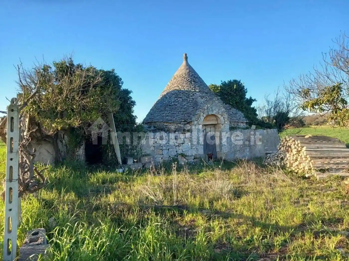 Rustico - Casale in vendita a Ceglie Messapica