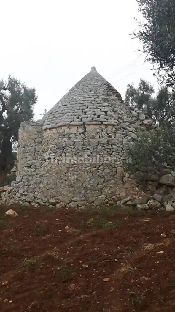 Rustico Contrada Lamacavallo San C., Tamburroni, Grottone, Rosara, Ostuni - foto 2