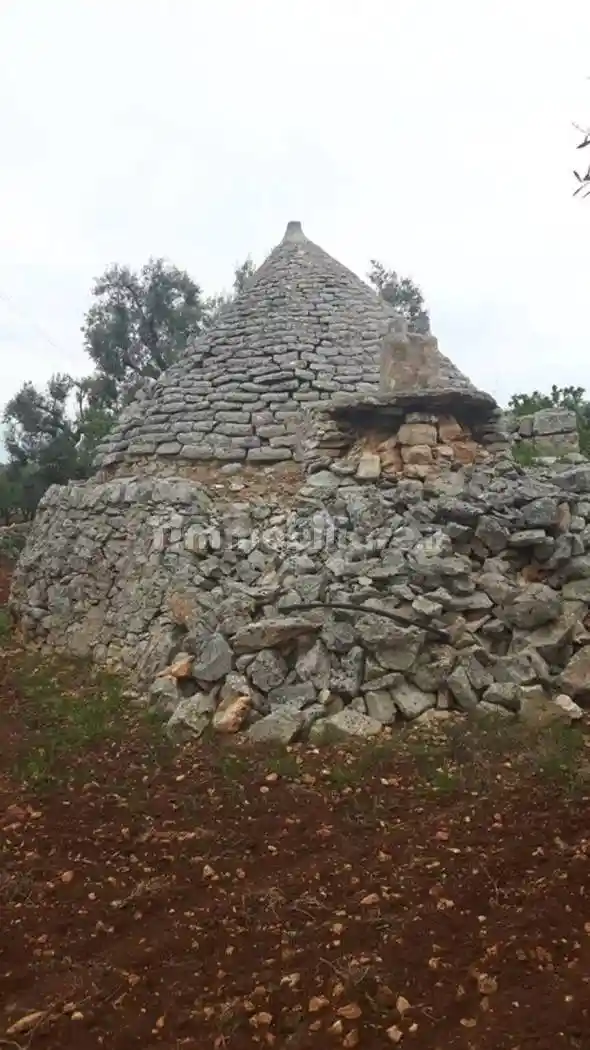 Rustico Contrada Lamacavallo San C., Tamburroni, Grottone, Rosara, Ostuni - foto 3