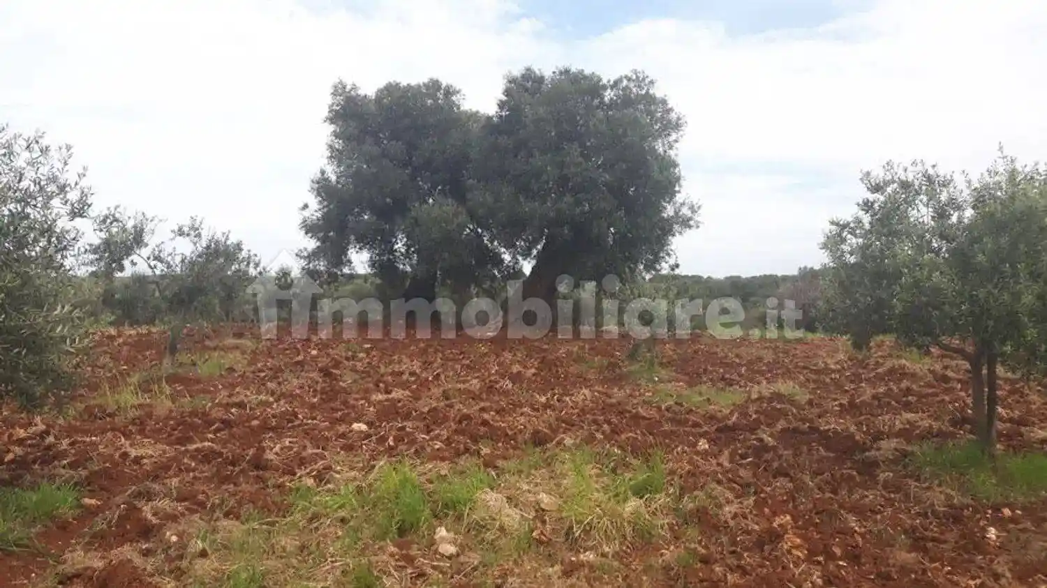 Cascina Contrada Lamacavallo San C., Tamburroni, Grottone, Rosara, Ostuni - foto 5