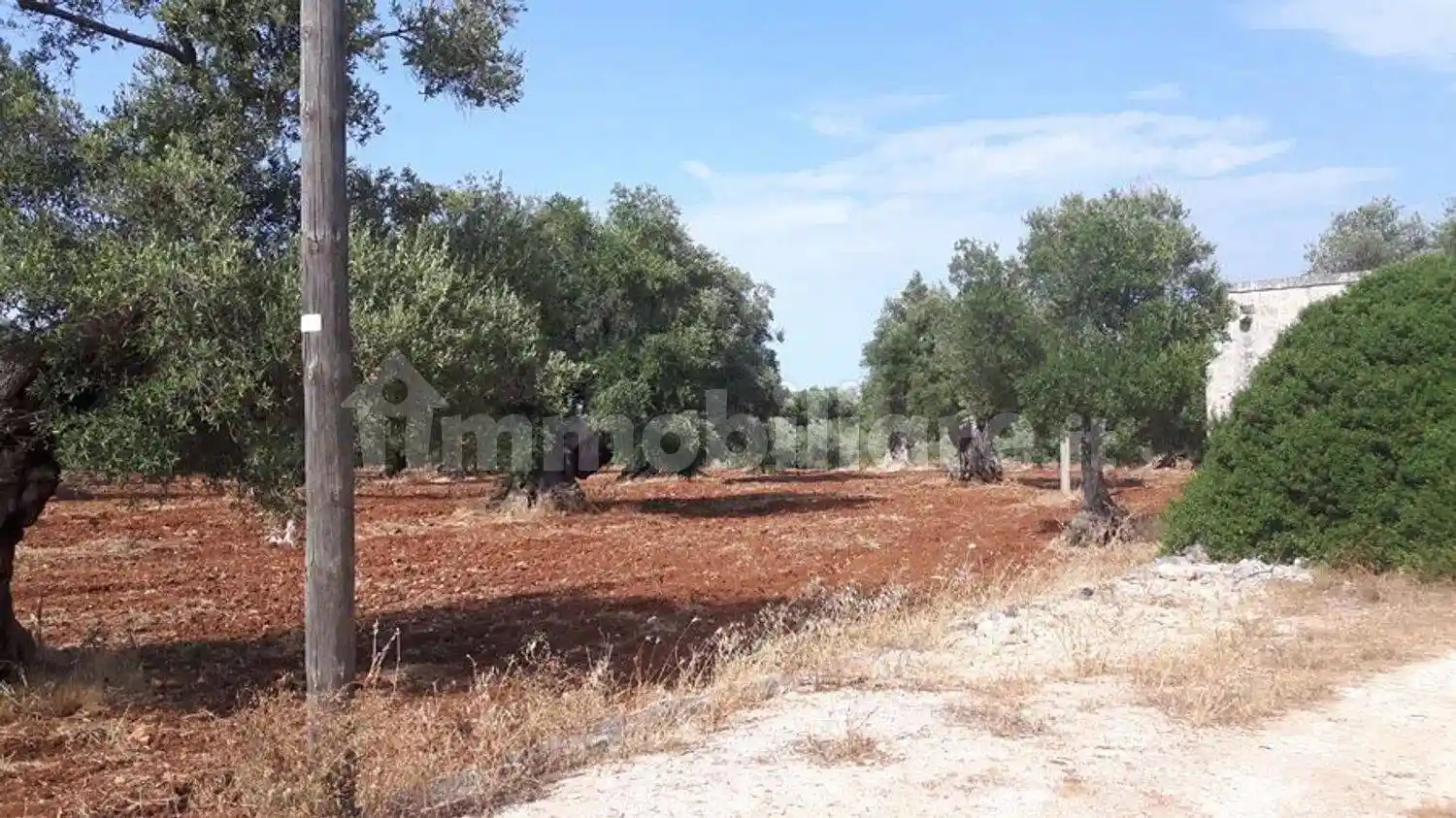 Cascina Contrada Alberodolce San C., Tamburroni, Grottone, Rosara, Ostuni - foto 4