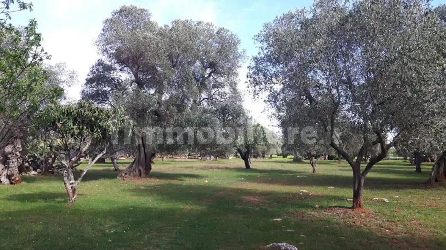 Cascina Contrada Pezza La Spina San C., Tamburroni, Grottone, Rosara, Ostuni - foto 2