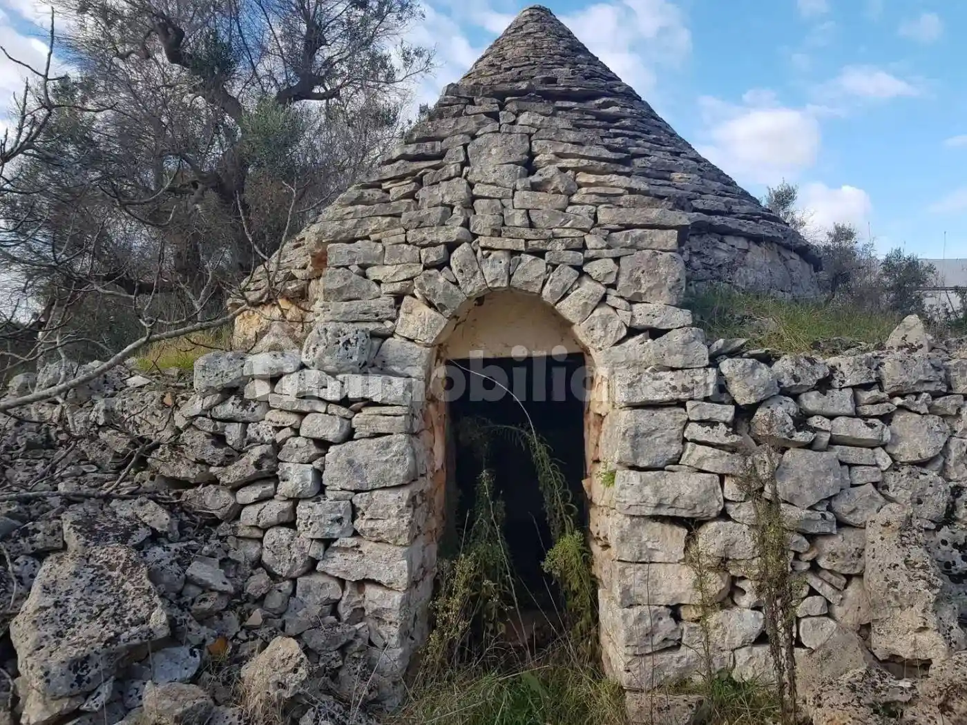 Rustico - Casale in vendita a Ceglie Messapica